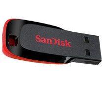 SanDisk Cruzer Blade USB Flash Drive (32GB)